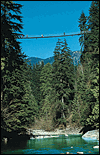 capilano.gif